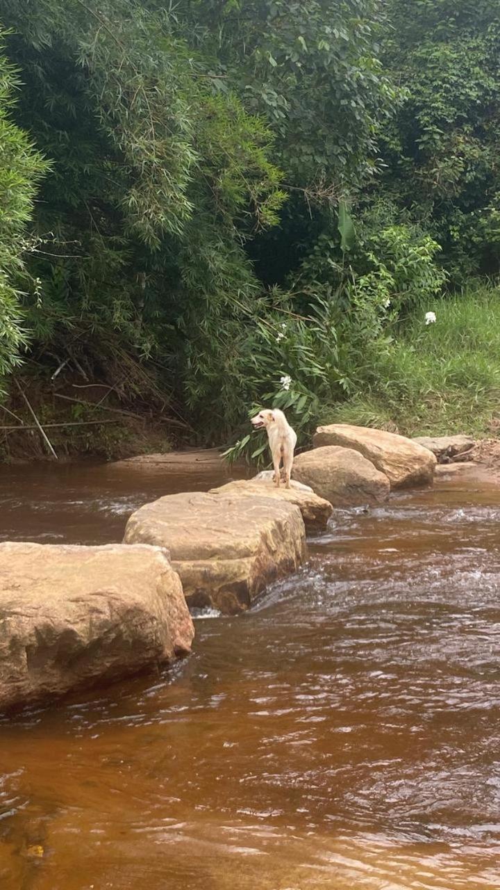 Pousada Fazenda e Pesqueiro Chalé da serra Conceição da Ibitipoca Esterno foto