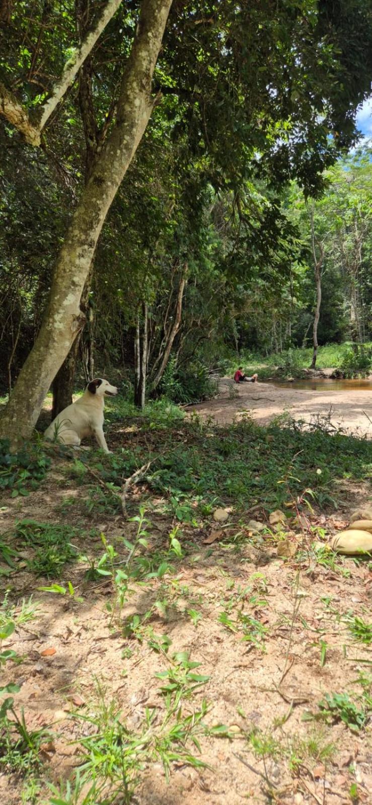 Pousada Fazenda e Pesqueiro Chalé da serra Conceição da Ibitipoca Esterno foto