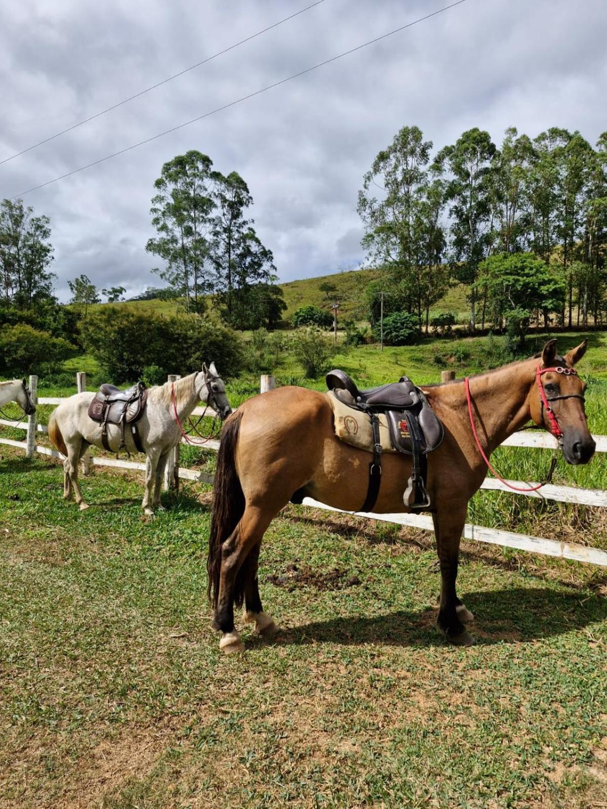 Pousada Fazenda e Pesqueiro Chalé da serra Conceição da Ibitipoca Esterno foto