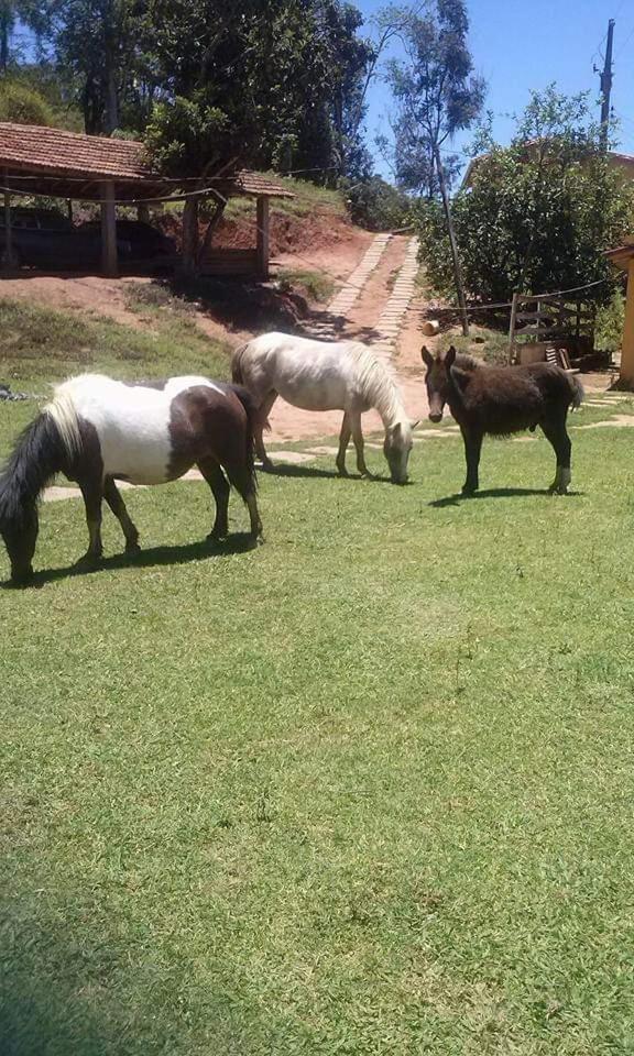 Pousada Fazenda e Pesqueiro Chalé da serra Conceição da Ibitipoca Esterno foto